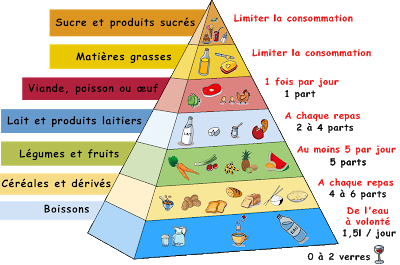 pyramide_alimentaire.png